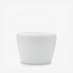 Vaso Venus - idrocoltura