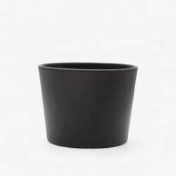 Vaso Vivace - idrocoltura